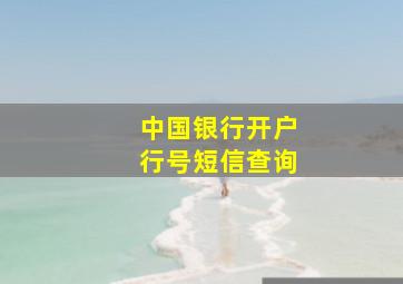 中国银行开户行号短信查询