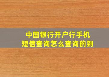 中国银行开户行手机短信查询怎么查询的到