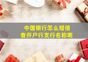 中国银行怎么短信查开户行支行名称呢