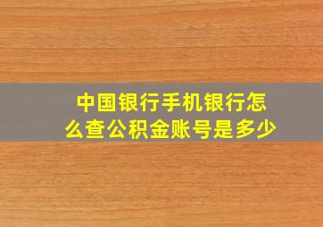 中国银行手机银行怎么查公积金账号是多少