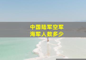 中国陆军空军海军人数多少