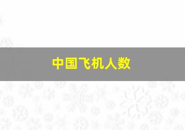 中国飞机人数