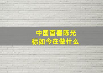 中国首善陈光标如今在做什么