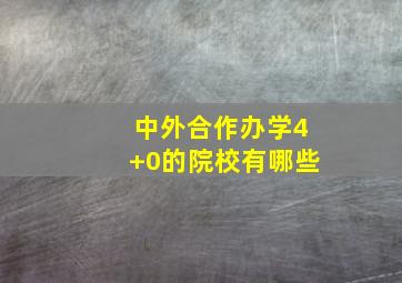 中外合作办学4+0的院校有哪些