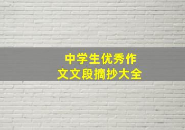 中学生优秀作文文段摘抄大全