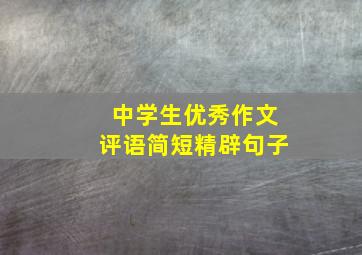 中学生优秀作文评语简短精辟句子