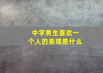 中学男生喜欢一个人的表现是什么