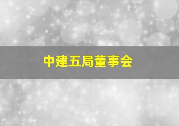 中建五局董事会