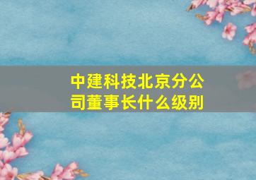 中建科技北京分公司董事长什么级别