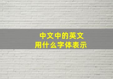 中文中的英文用什么字体表示