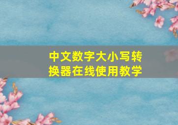 中文数字大小写转换器在线使用教学