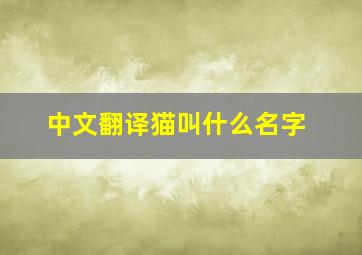 中文翻译猫叫什么名字