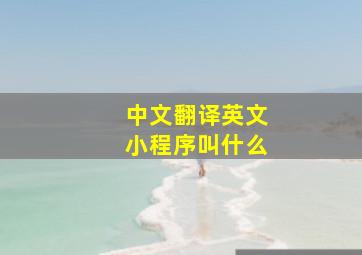 中文翻译英文小程序叫什么