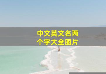 中文英文名两个字大全图片