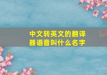 中文转英文的翻译器语音叫什么名字