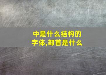 中是什么结构的字体,部首是什么