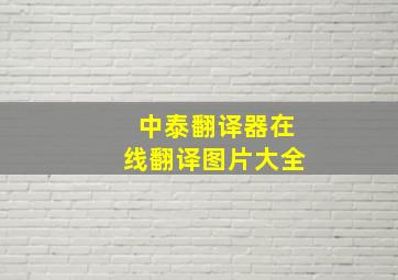 中泰翻译器在线翻译图片大全