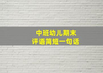 中班幼儿期末评语简短一句话