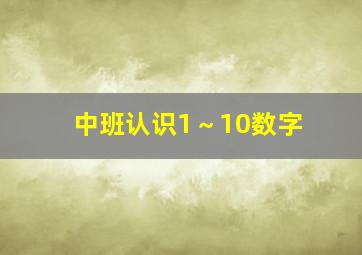 中班认识1～10数字