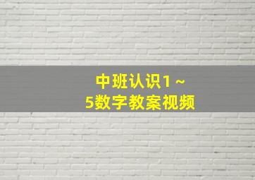 中班认识1～5数字教案视频