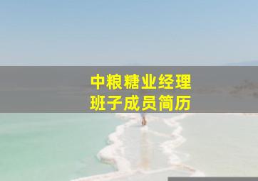 中粮糖业经理班子成员简历