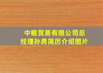 中粮贸易有限公司总经理孙勇简历介绍图片