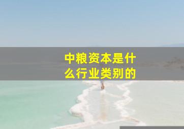 中粮资本是什么行业类别的