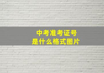 中考准考证号是什么格式图片