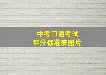 中考口语考试评分标准表图片