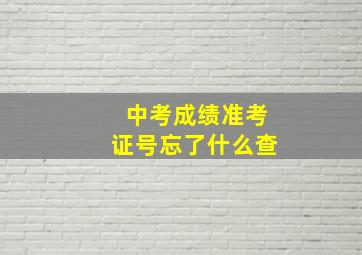 中考成绩准考证号忘了什么查