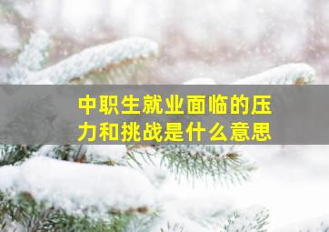 中职生就业面临的压力和挑战是什么意思