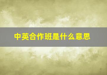 中英合作班是什么意思