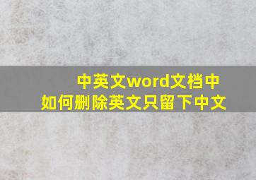 中英文word文档中如何删除英文只留下中文