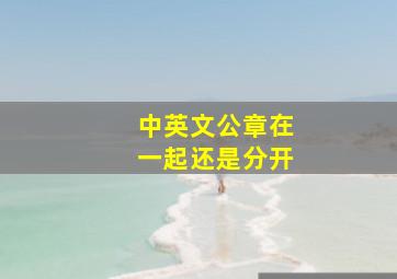 中英文公章在一起还是分开