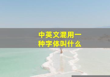 中英文混用一种字体叫什么