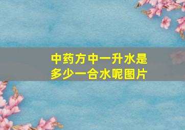 中药方中一升水是多少一合水呢图片