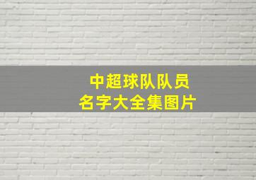 中超球队队员名字大全集图片