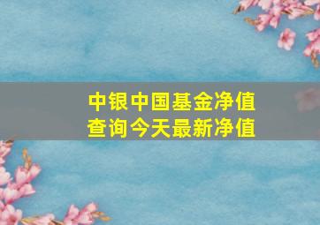 中银中国基金净值查询今天最新净值