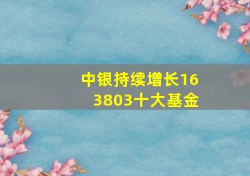 中银持续增长163803十大基金