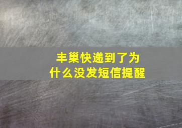 丰巢快递到了为什么没发短信提醒