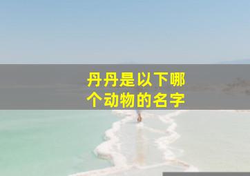 丹丹是以下哪个动物的名字