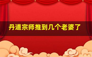 丹道宗师推到几个老婆了