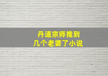 丹道宗师推到几个老婆了小说