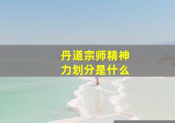 丹道宗师精神力划分是什么