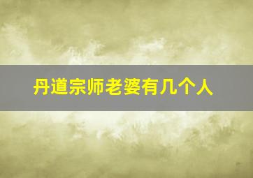 丹道宗师老婆有几个人