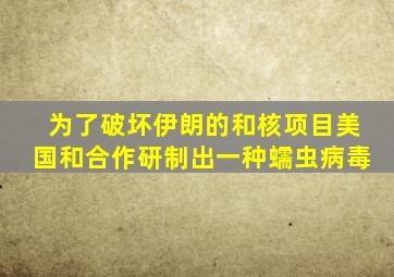 为了破坏伊朗的和核项目美国和合作研制出一种蠕虫病毒