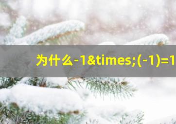 为什么-1×(-1)=1