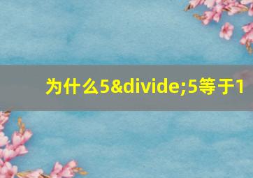 为什么5÷5等于1