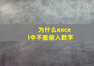 为什么excel中不能输入数字