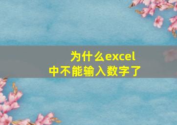 为什么excel中不能输入数字了